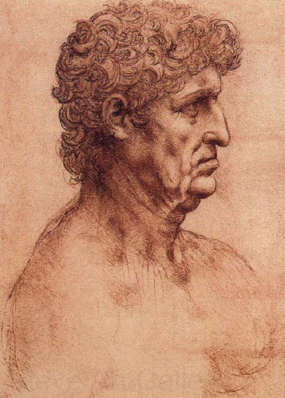 LEONARDO da Vinci Profile of an old man France oil painting art